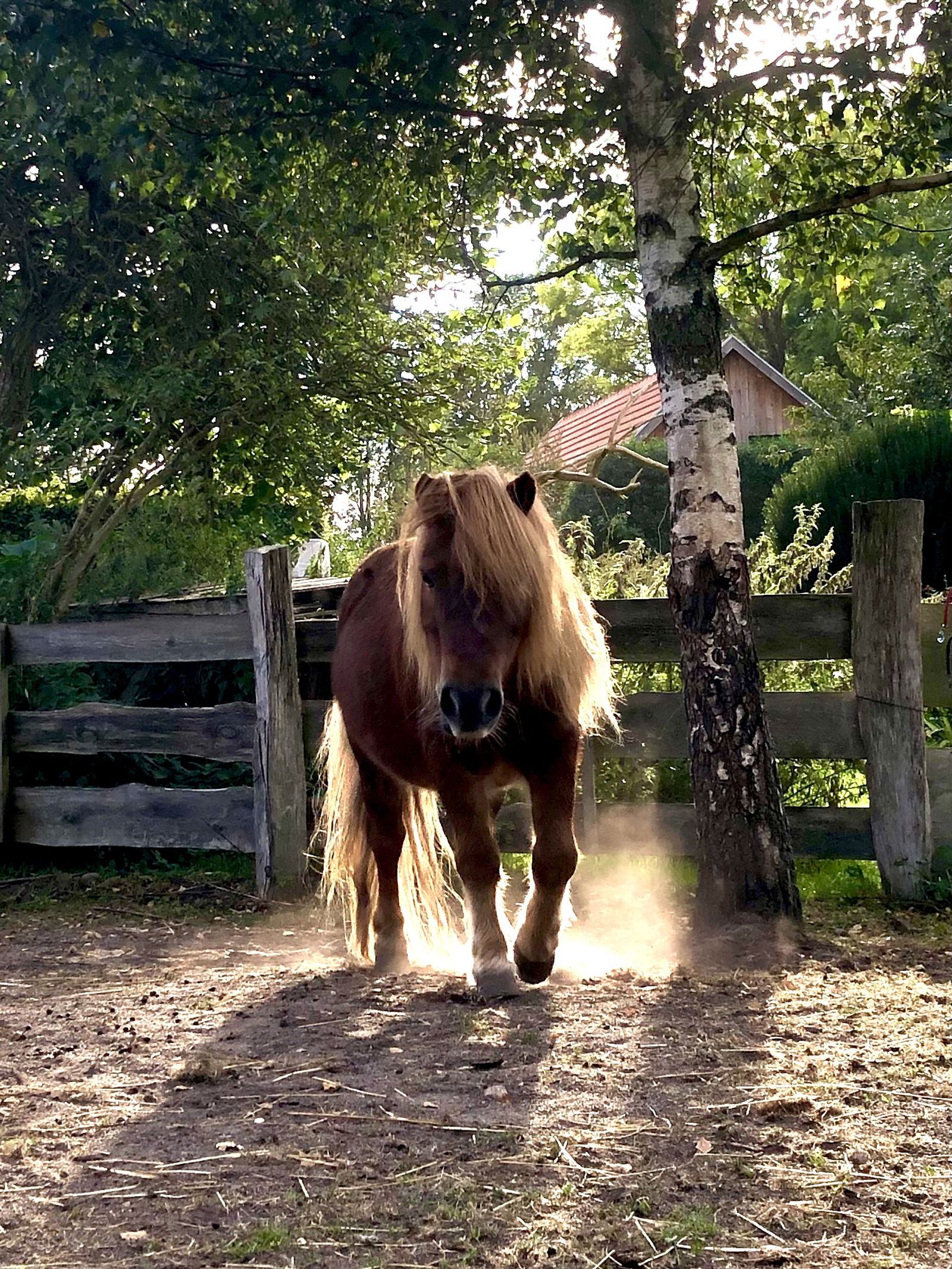 Hof Obst im Dosse-Seen-Land