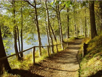 Hof Junkernberg am See