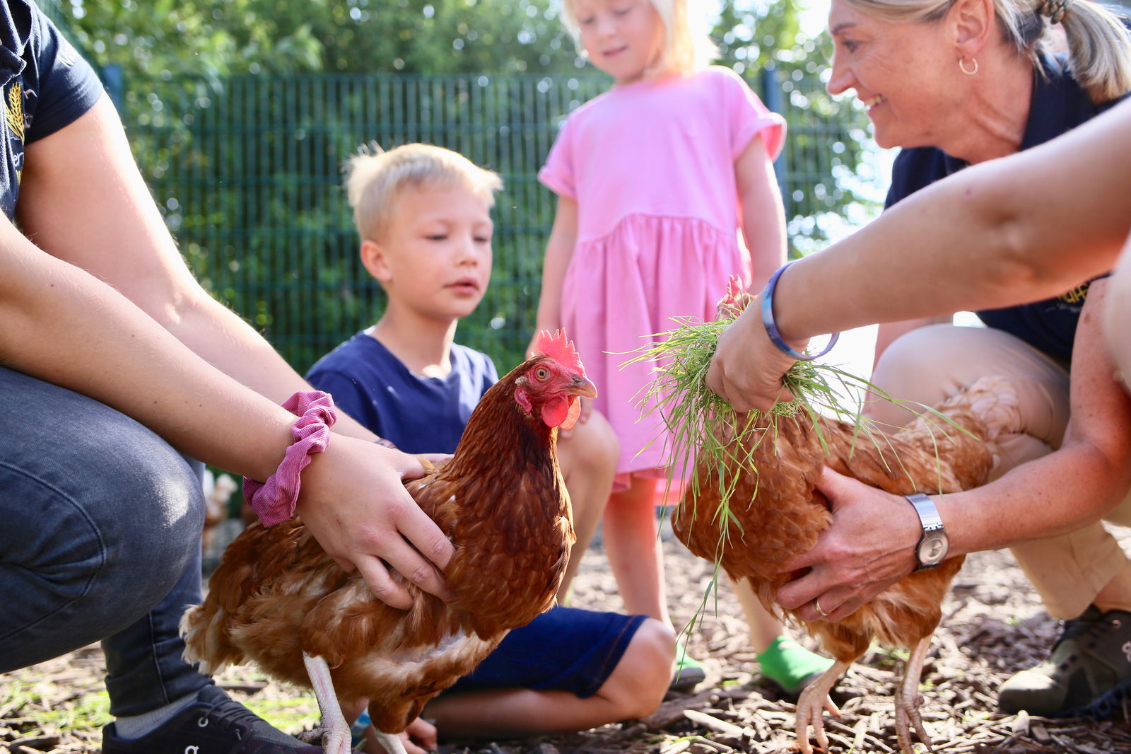 Wunderschöner Hof a.d. Nordsee Familie Wulff