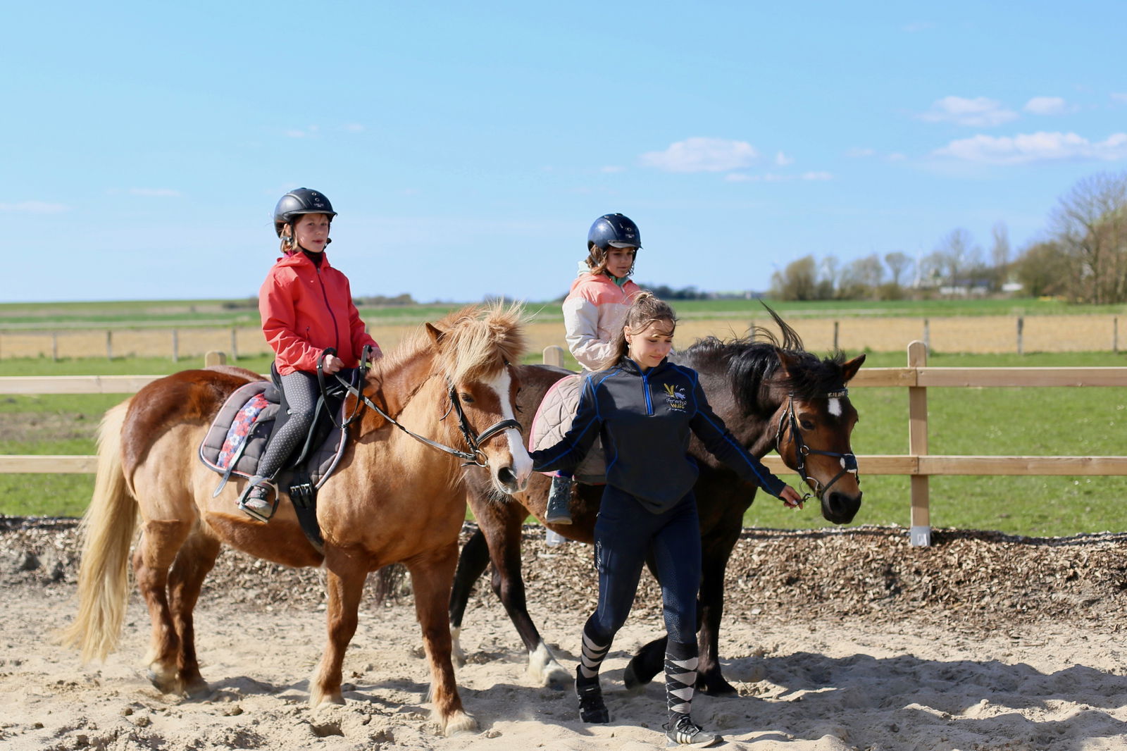 Wunderschöner Hof a.d. Nordsee Familie Wulff