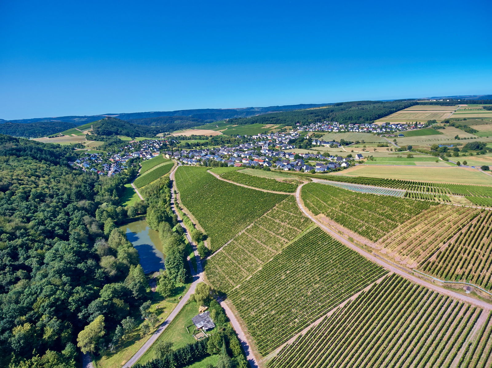 Ferienweingut Willems, Maria Willems