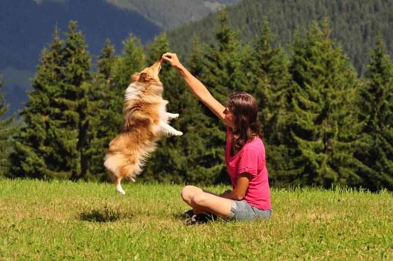 Biobergbauernhof Garmesegg