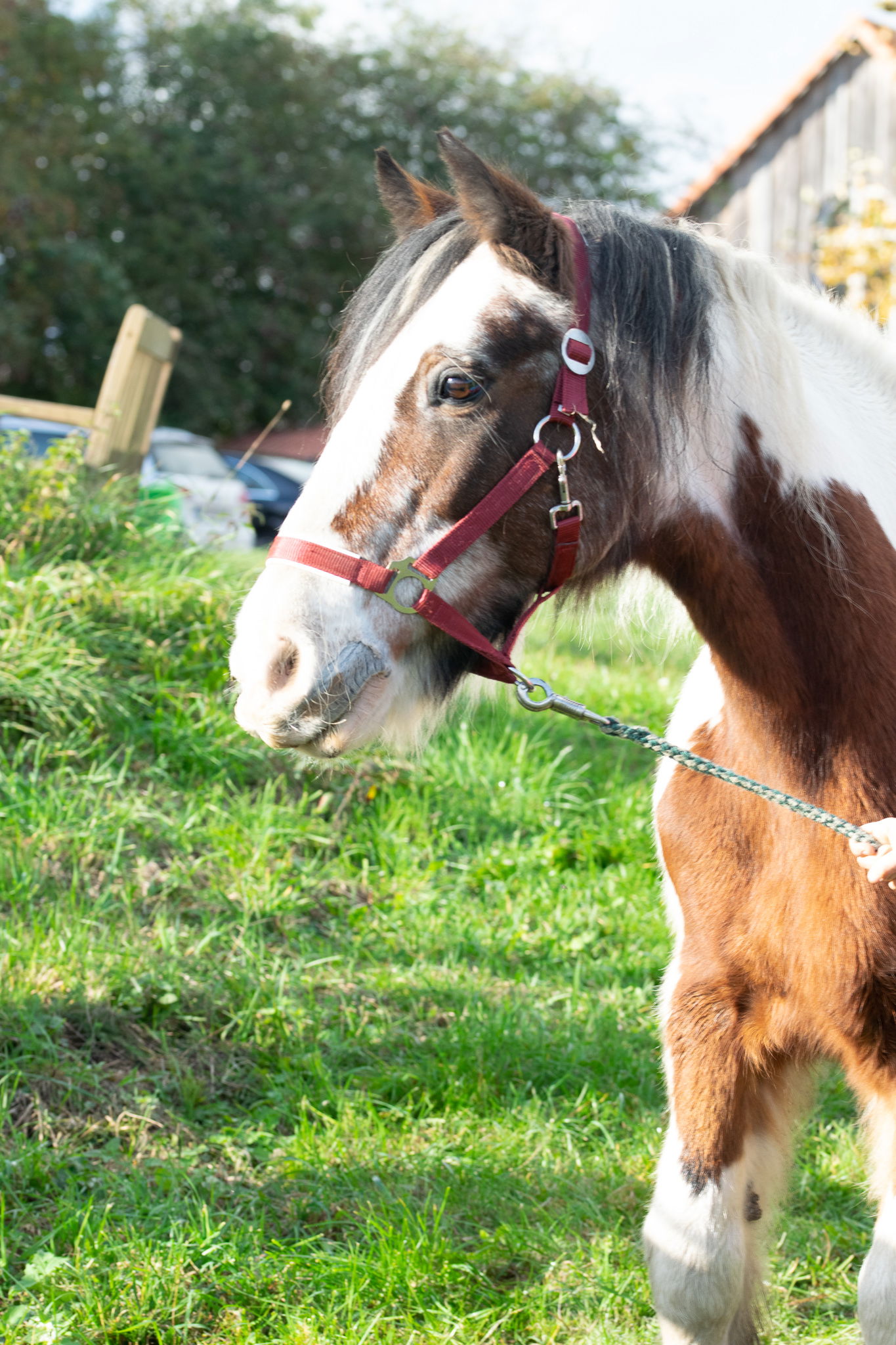 Obst- & Weingut Ingenhof