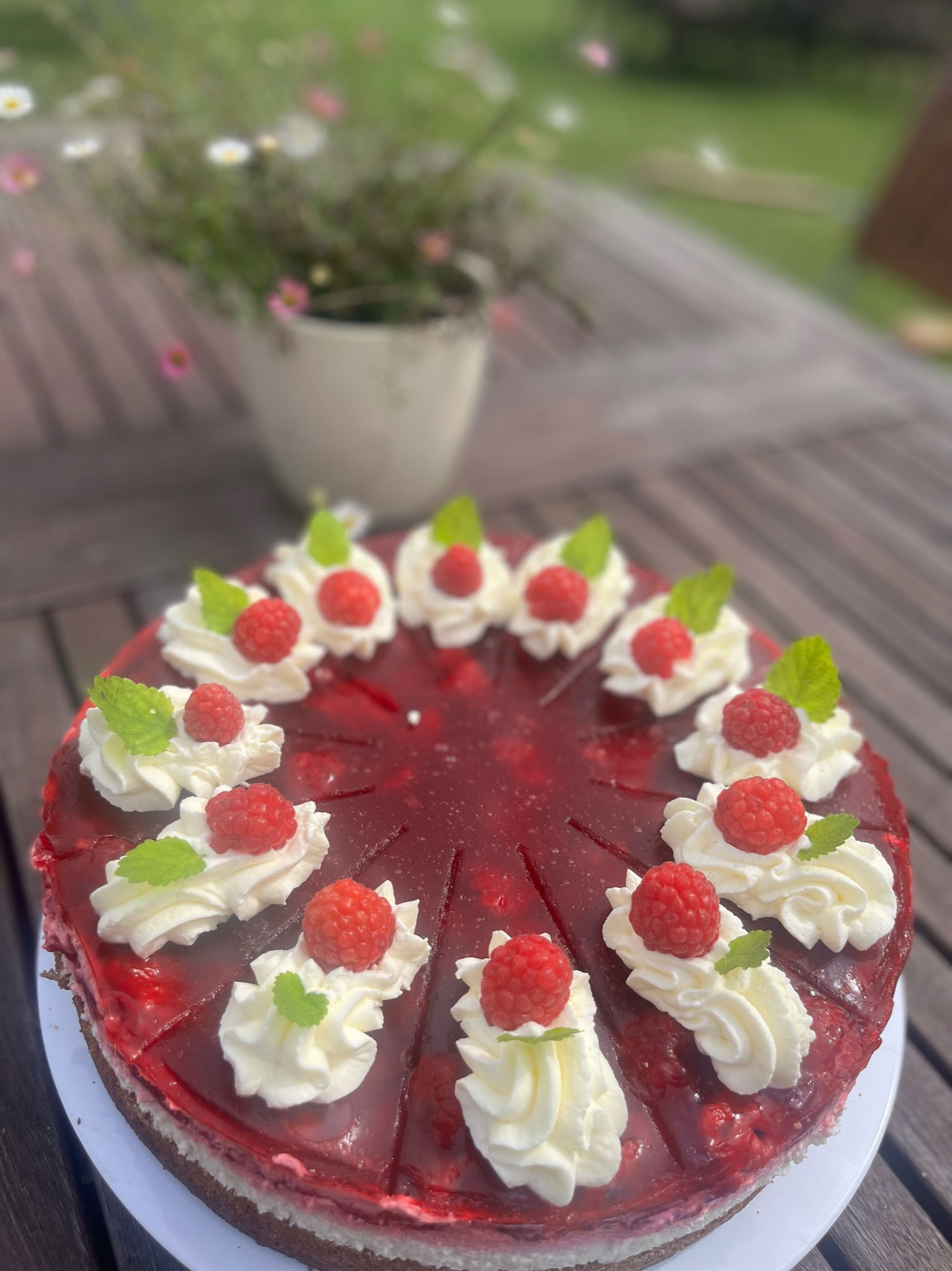 Obst- & Weingut Ingenhof