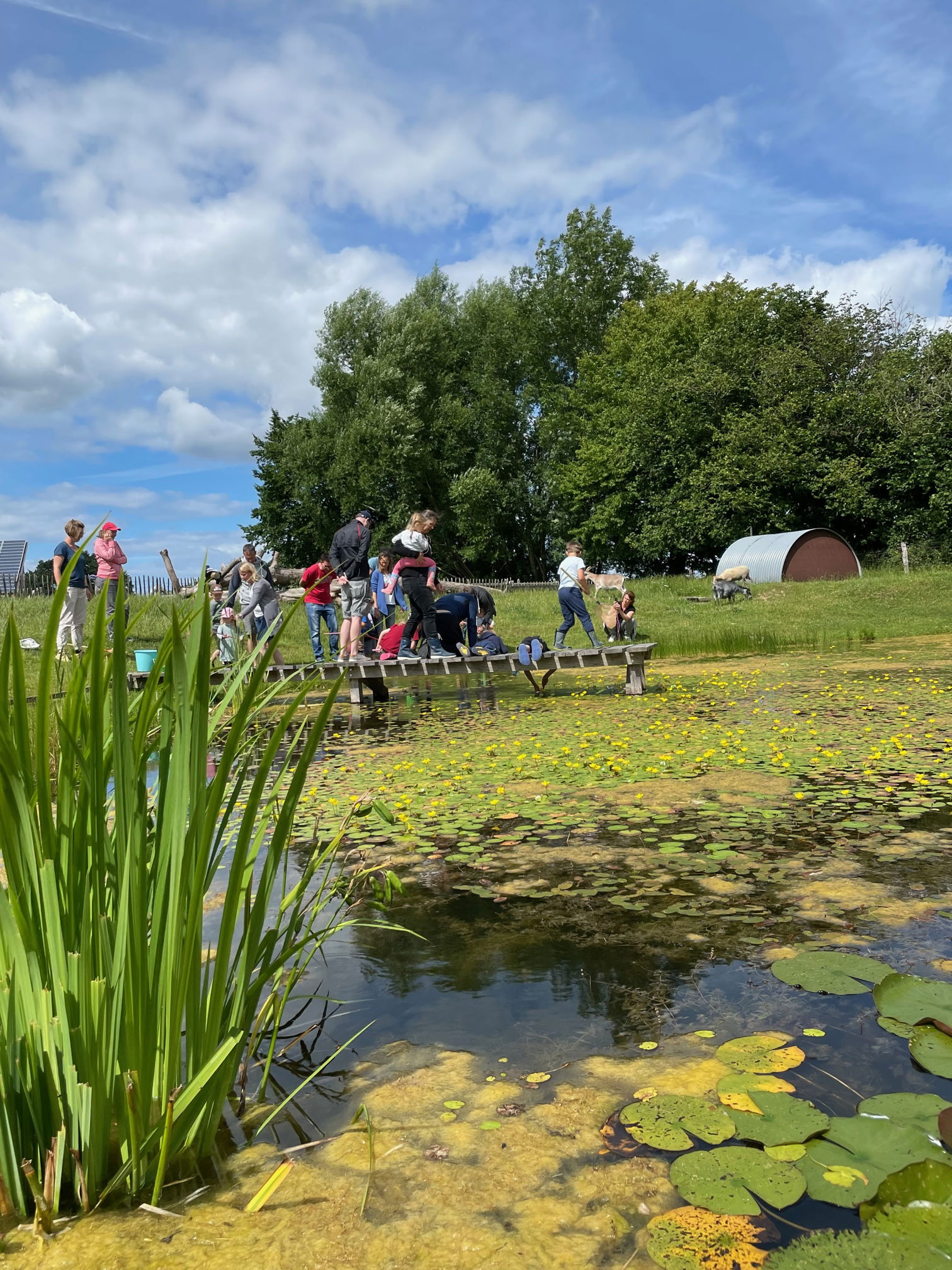 LandSelection Ferienhof Harms - Ostsee