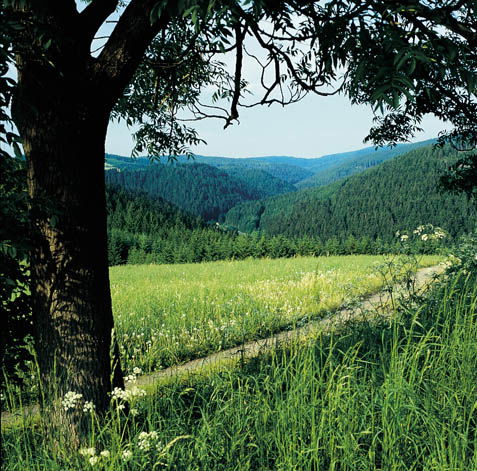 Gollers Ferienhäuser im Frankenwald