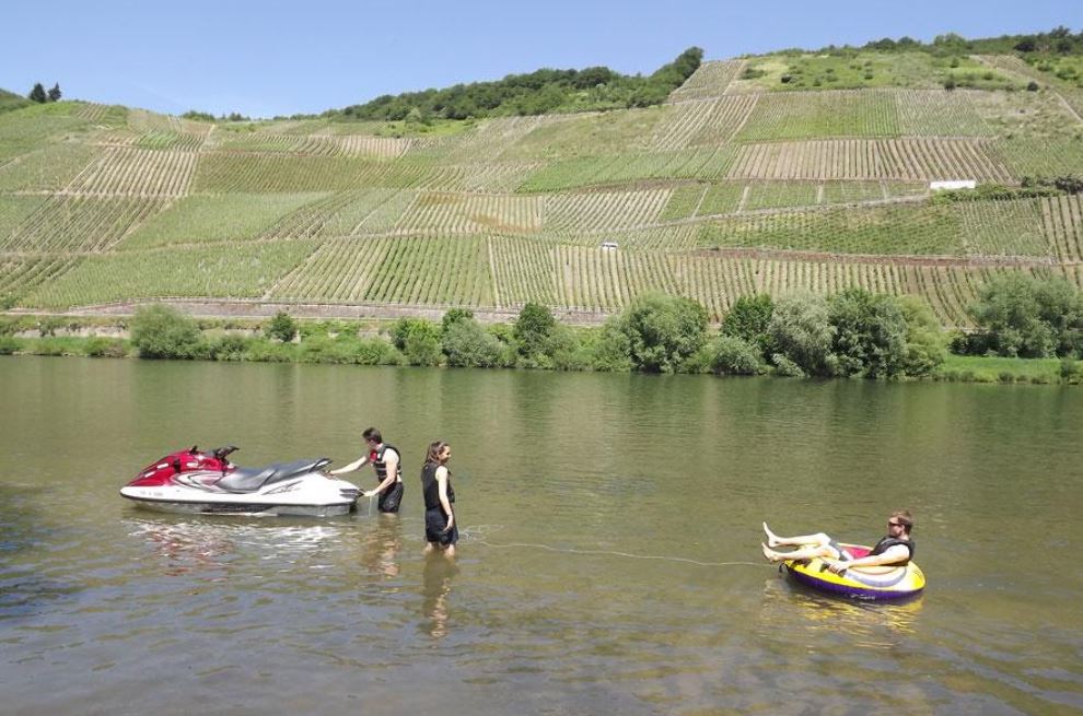 Weingut Winnebeck inmitten der Weinberge