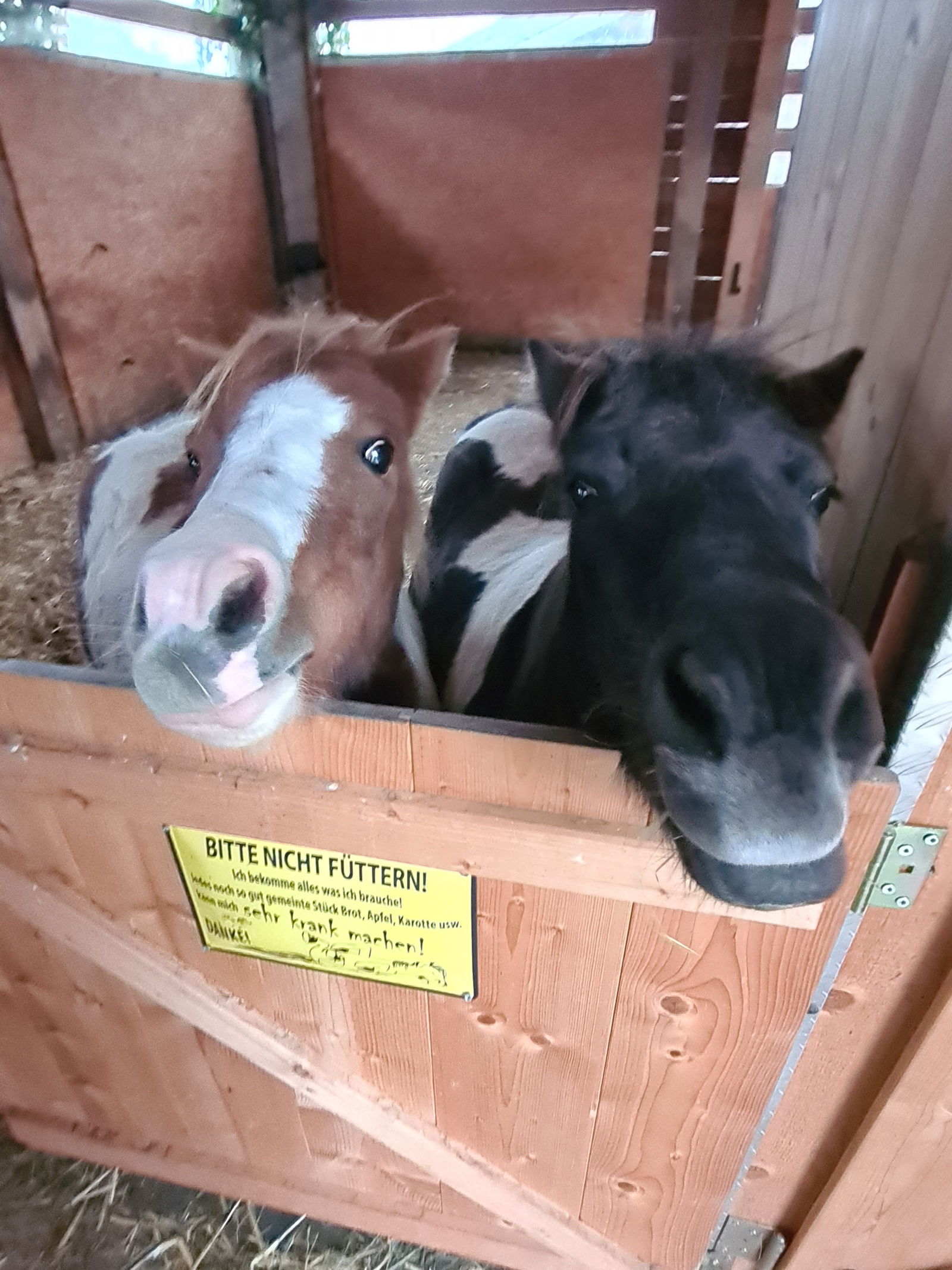 Narzenhof Chalets, Familien & luxus Apartments am Bauernhof, Kitzbühler Alpen