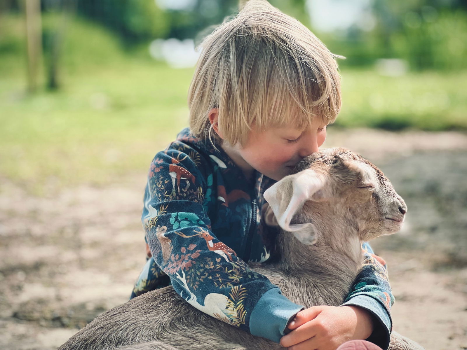 Warfthof Wollatz - Nordseeurlaub mit Feinsinn