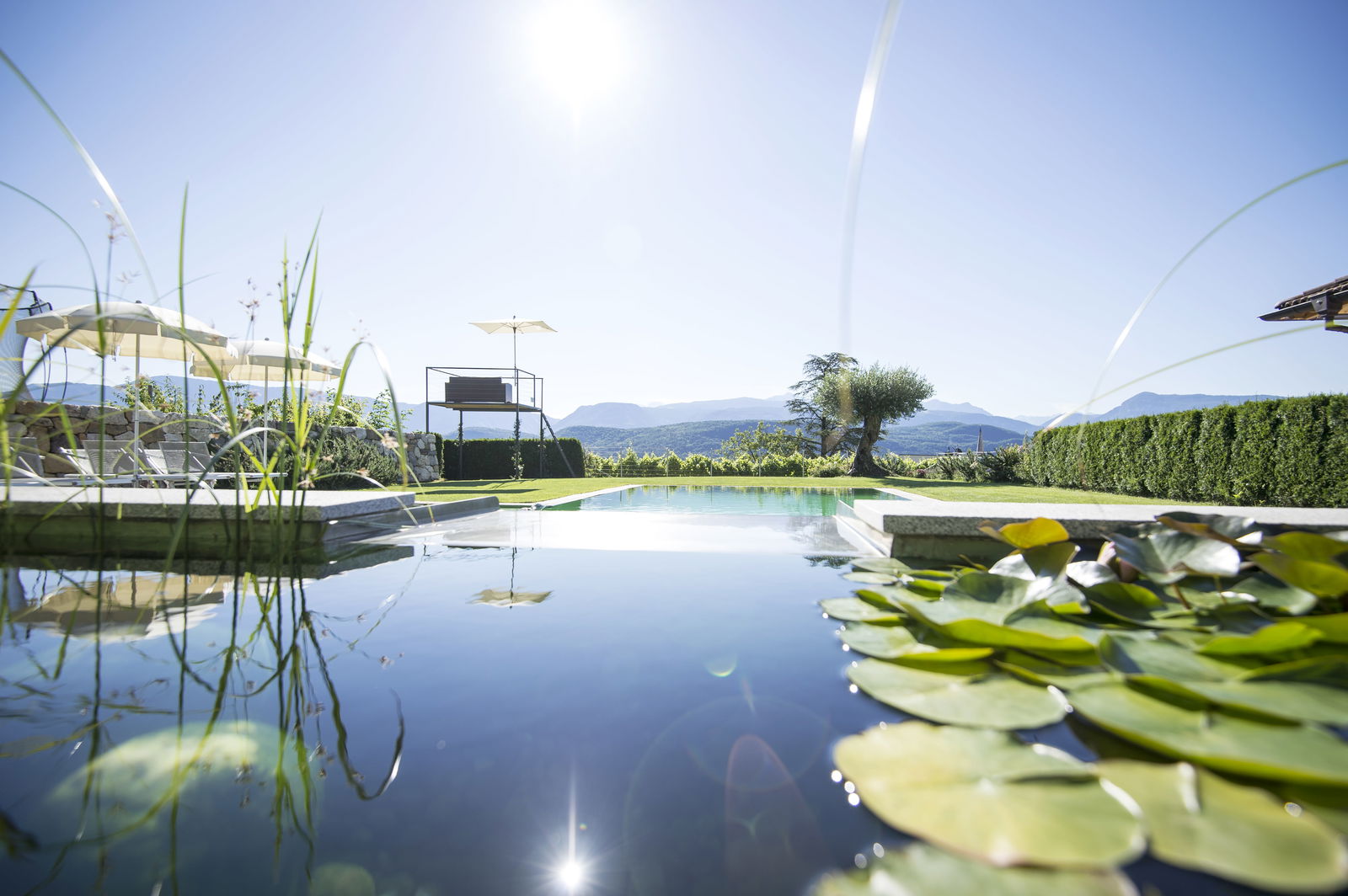 Traubenhof    Pures Leben-Echt und natürlich