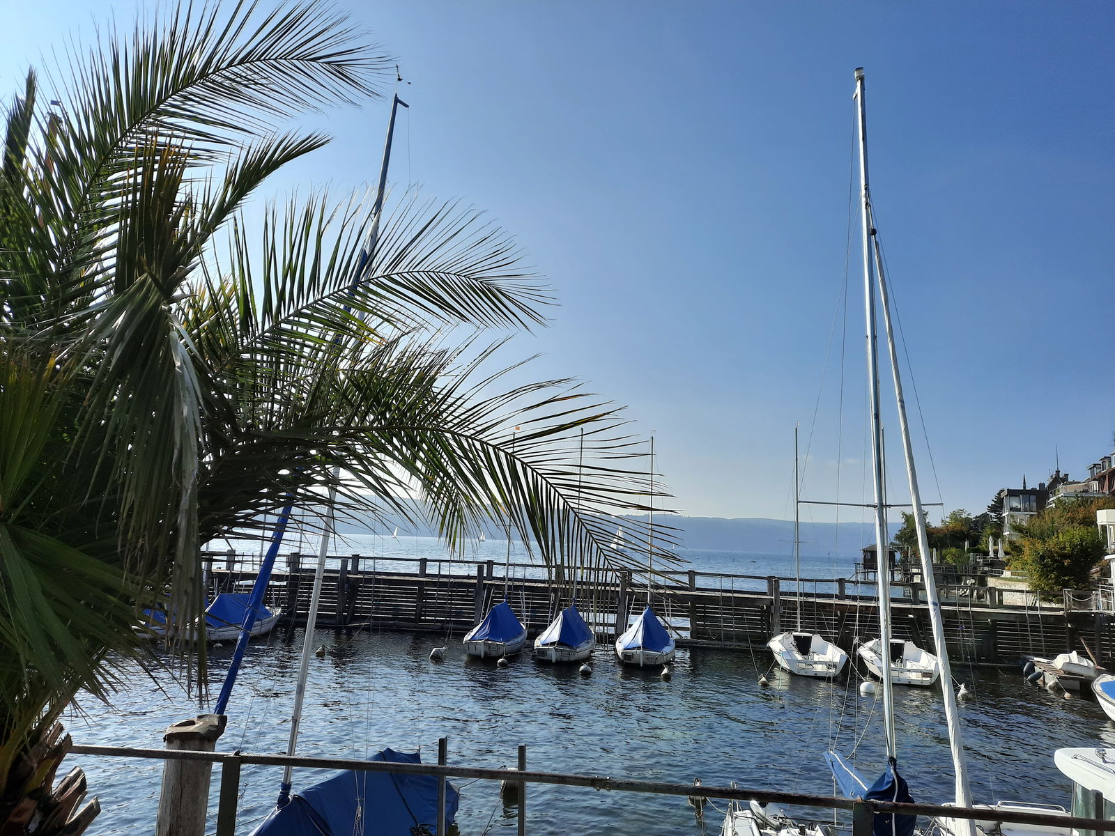Erholung - Natur pur - Urlaub auf dem Loyerhof
