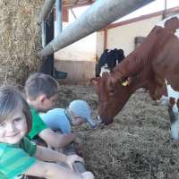 Erholung - Natur pur - Urlaub auf dem Loyerhof