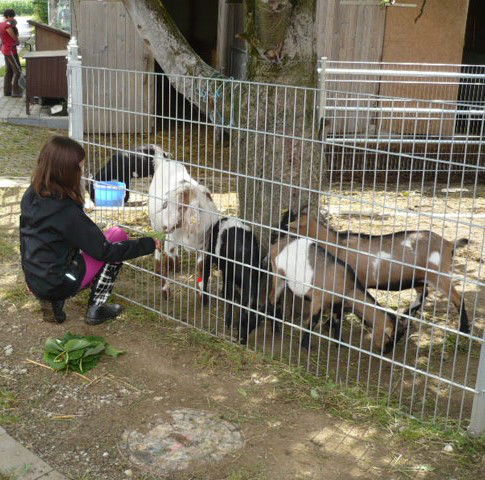 Ökoferienhof Retzbach