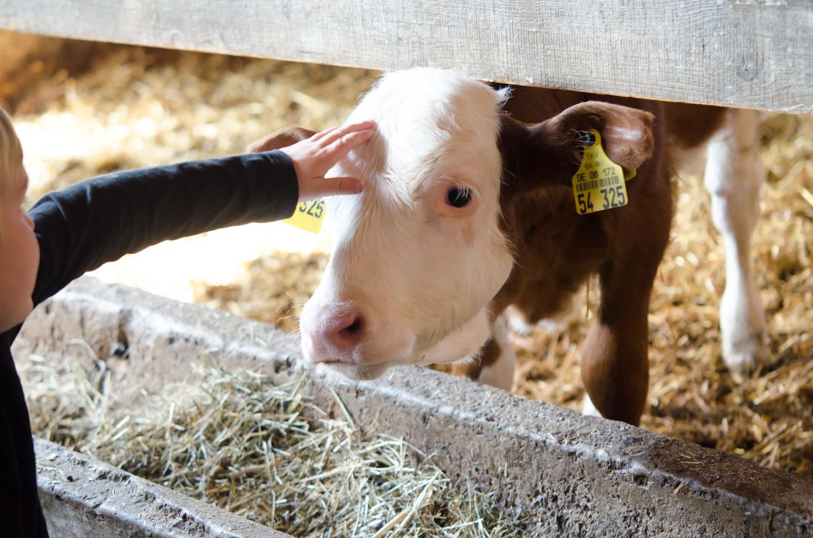 Ökoferienhof Retzbach