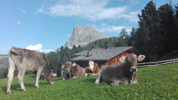 Oberpiskoihof, Auszeit in den Südtiroler Dolomiten