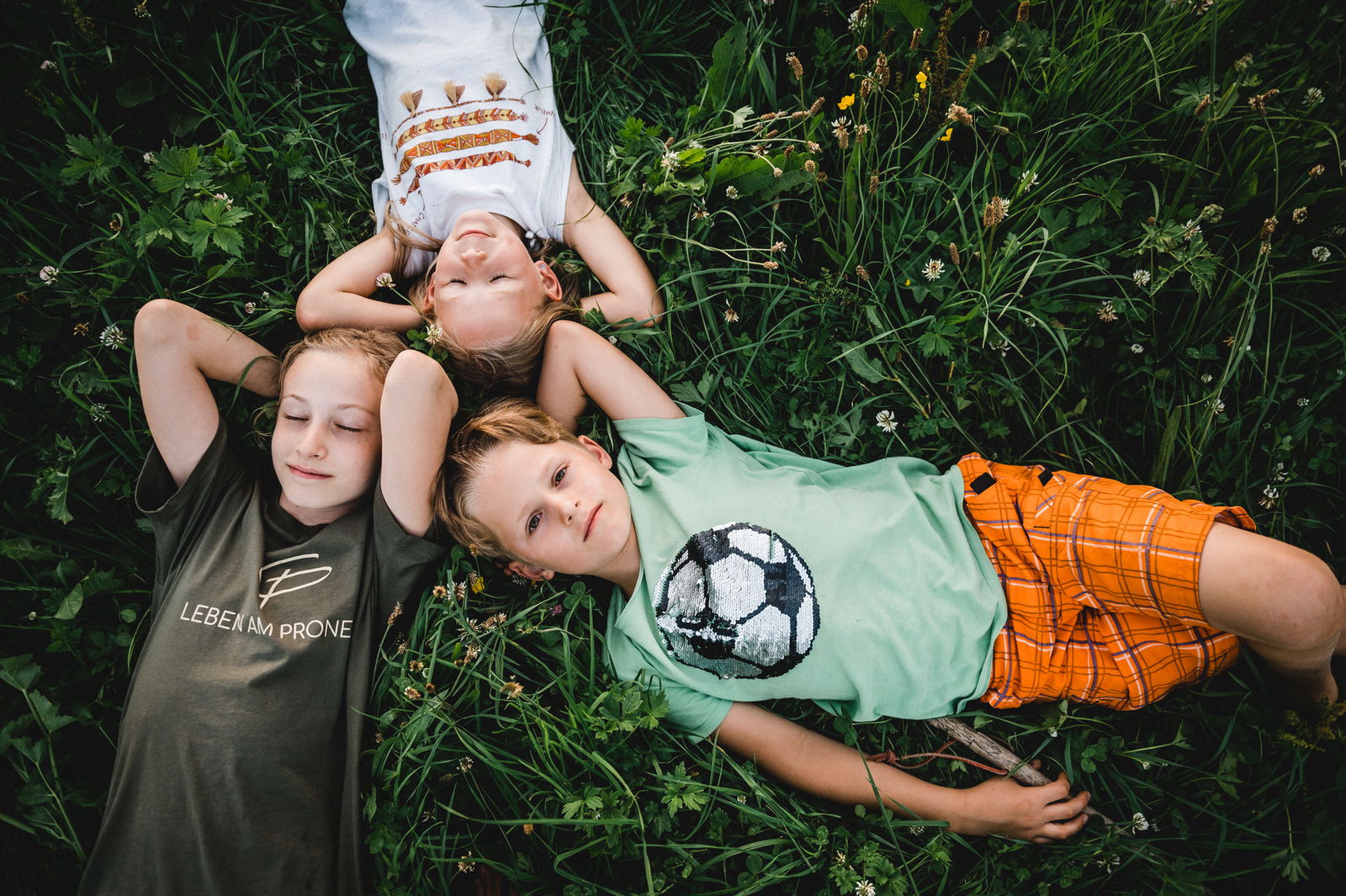 LandSelection Proneben Gut