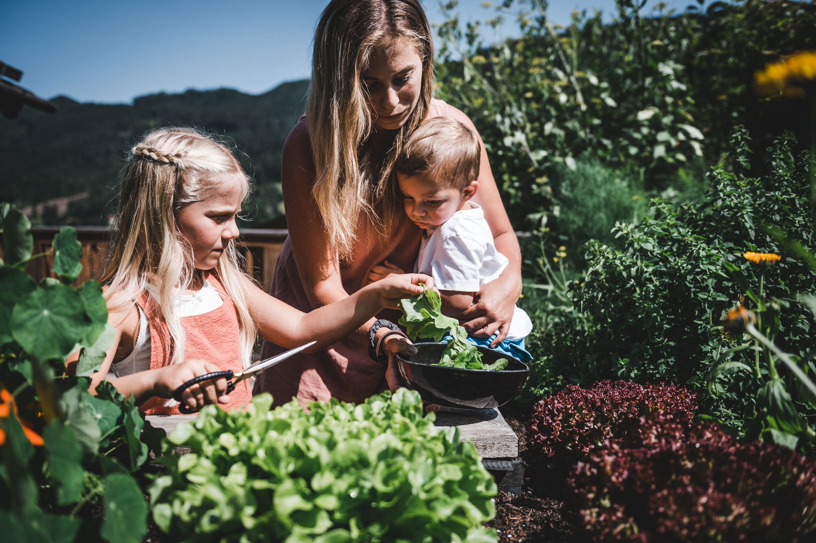 LandSelection Proneben Gut