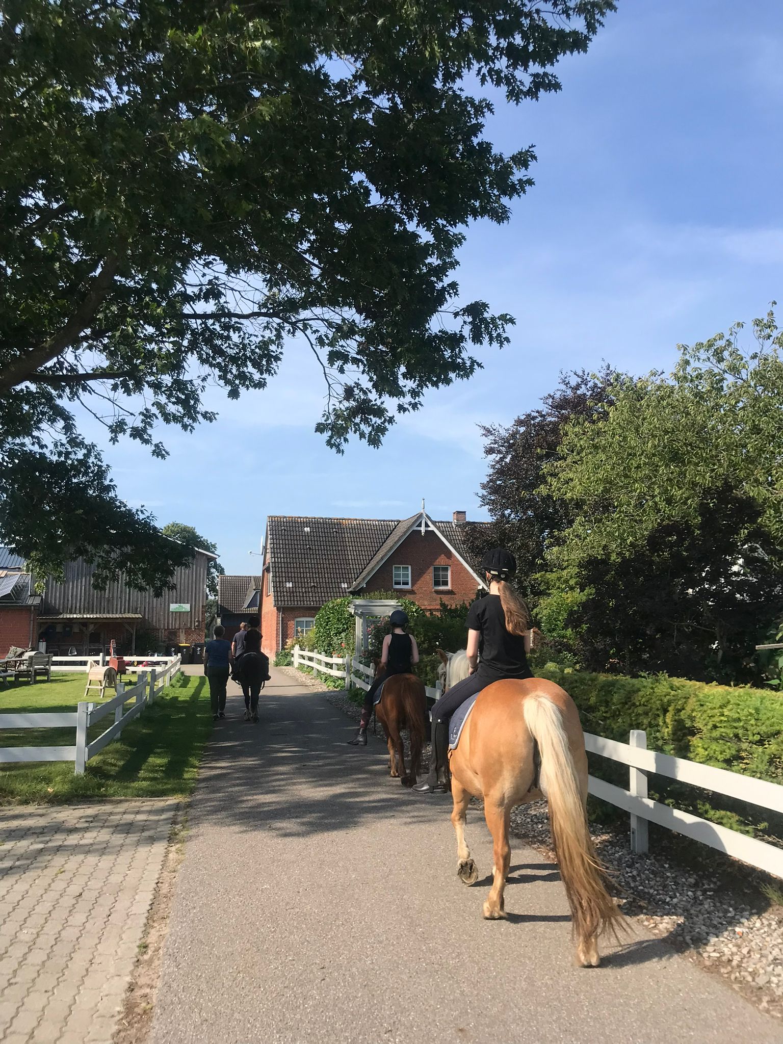 Ferienhof Sell Bauernhofurlaub Ostsee Ponys