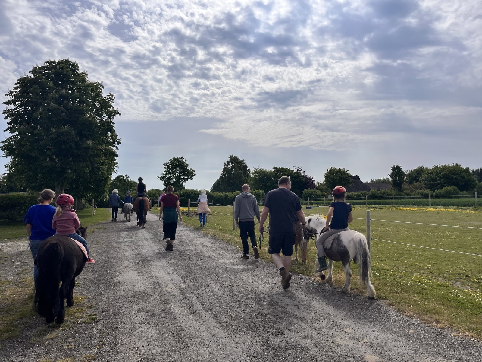 Ferienhof Sell Bauernhofurlaub Ostsee Ponys