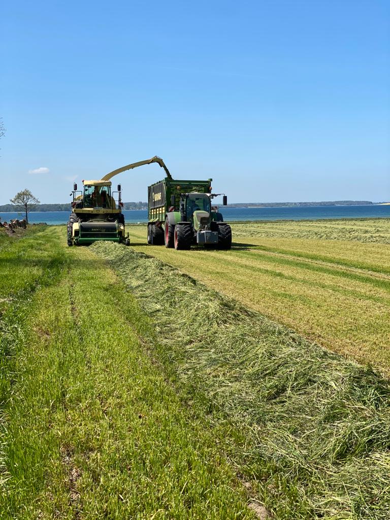Ferienhof Sell Bauernhofurlaub Ostsee Ponys