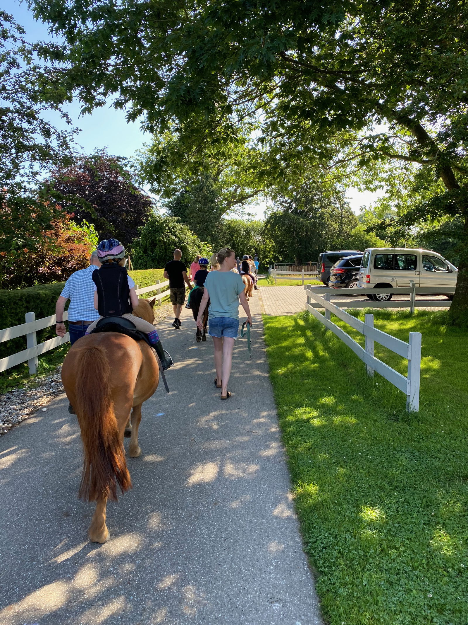 Ferienhof Sell Bauernhofurlaub Ostsee Ponys