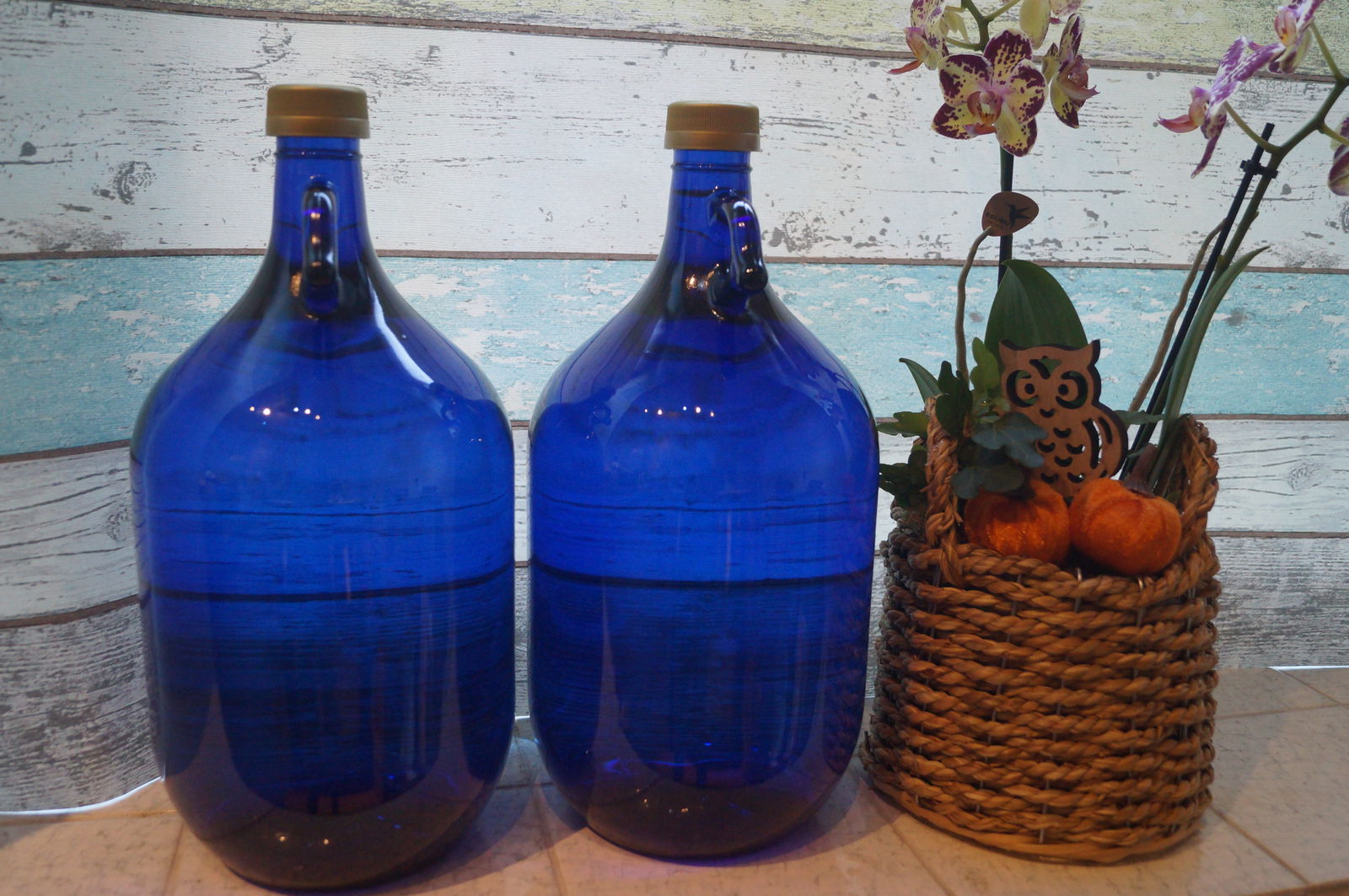 Landhaus Ibs, direkt an der Nordsee