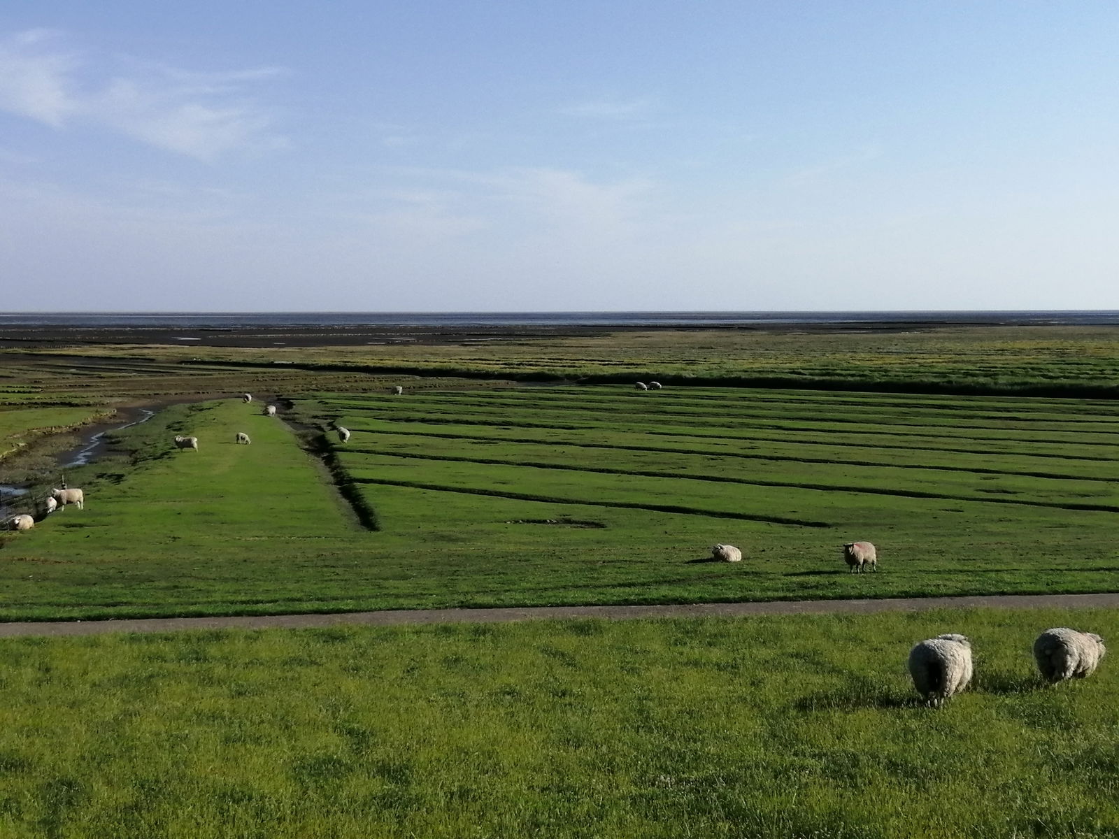 Landhaus Ibs, direkt an der Nordsee
