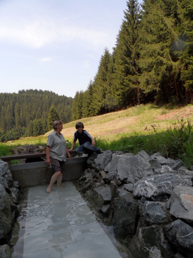 Steffahof - Mitglied von LandSelection