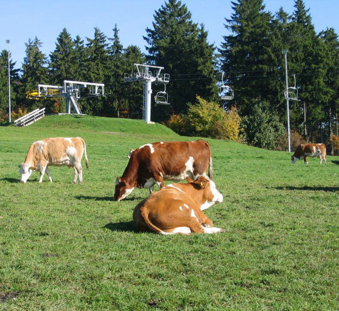 Vogtlandhof Hohe Reuth
