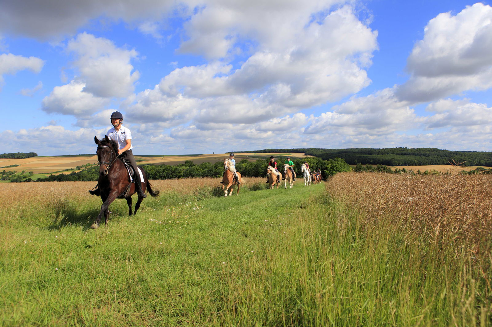 LandSelection Urlaubsreiterhof Trunk *Glückliche Pferde & Menschen*