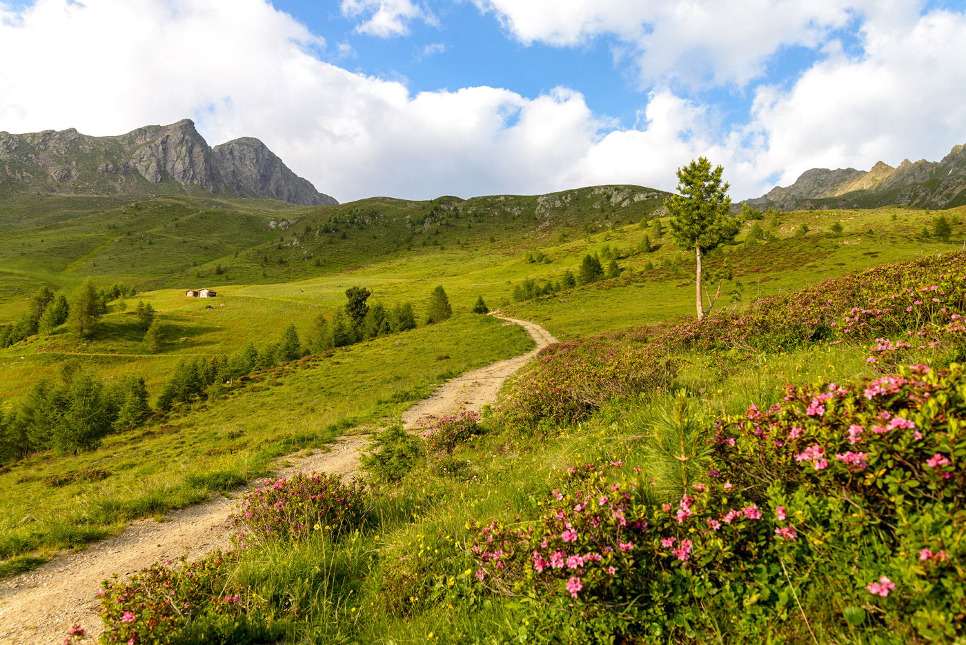 Landhof - Familie Mairhofer