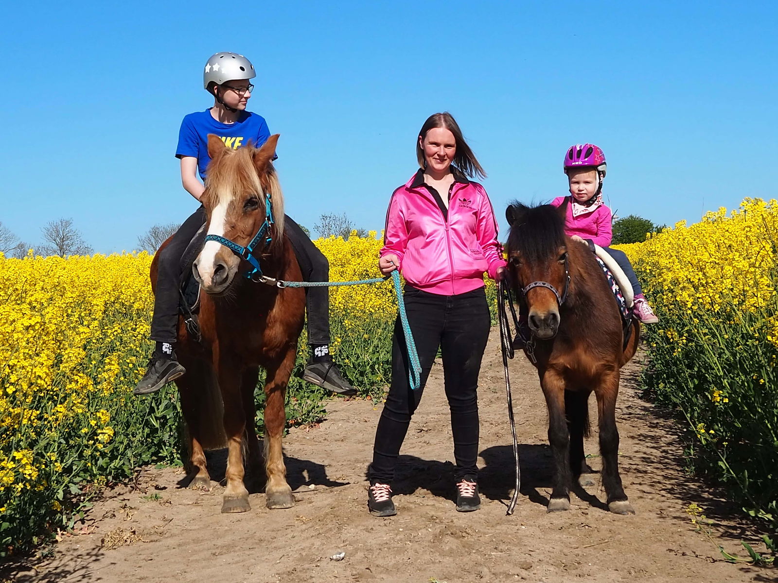 Hinrich's Ostsee Bauernhof