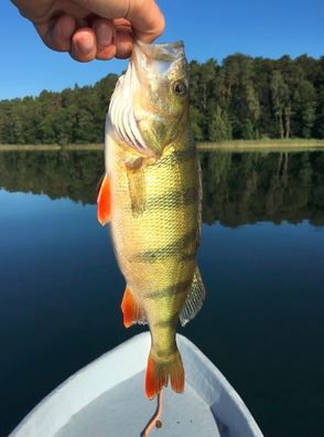 Ferieninsel Tietzowsee