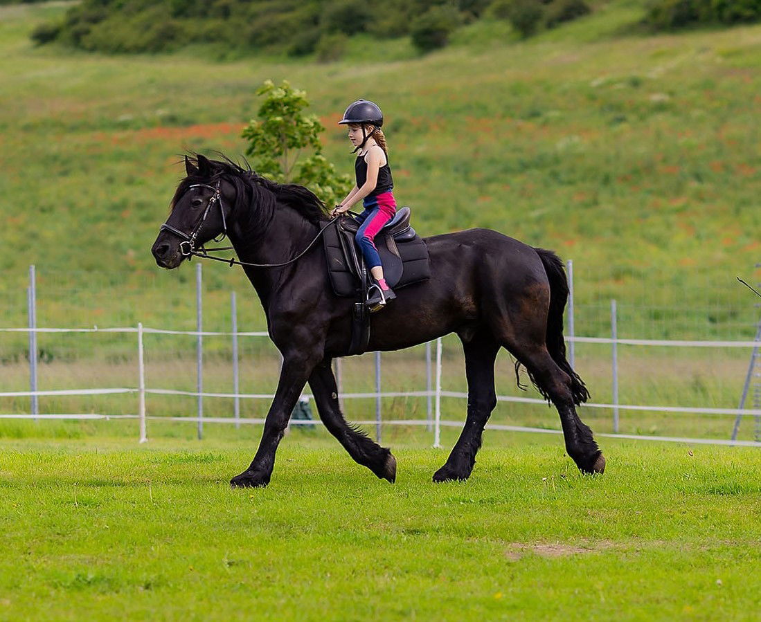 Landkulturhof Glücksbringer