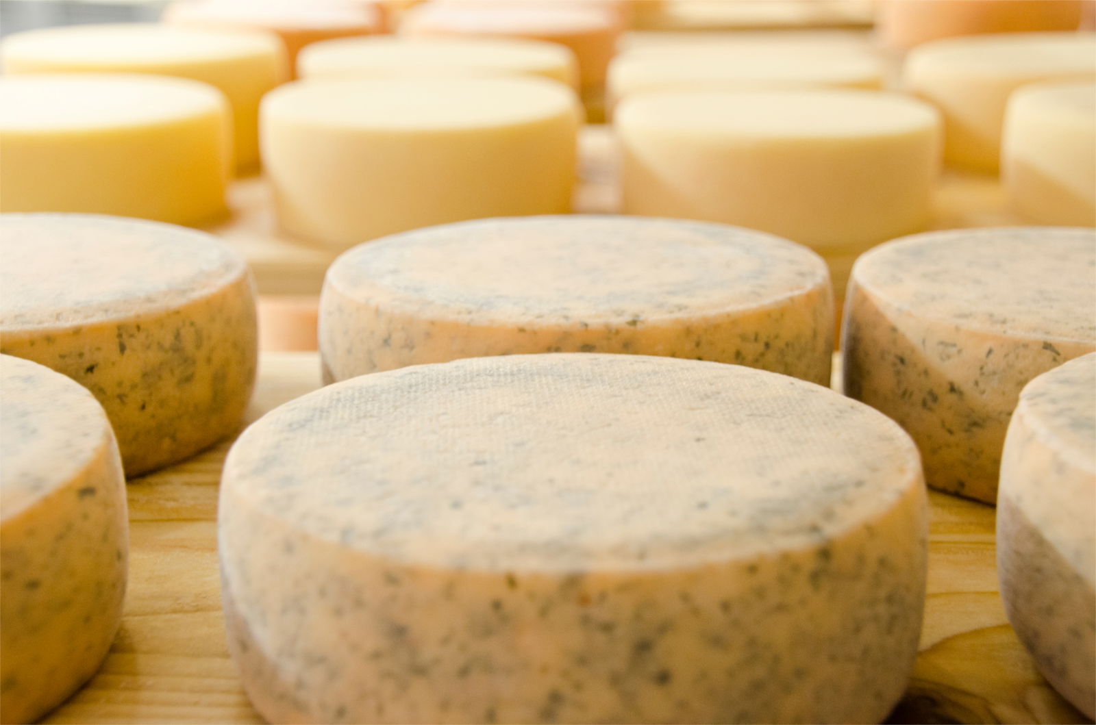 Seppnerhof mit eigener Hofkäserei