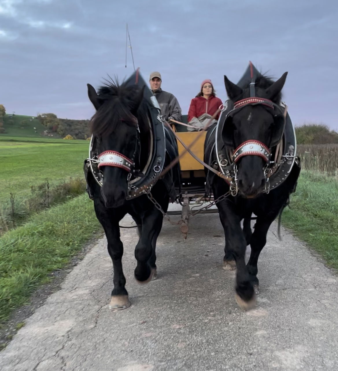 Steigerwälder Zwergenhof ihr kleiner Kinder-Bauernhof für Familien- und Gruppenurlaube