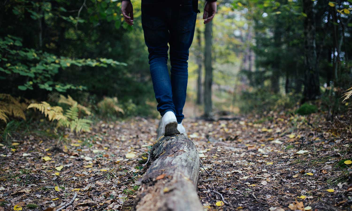 RAMENAI Das Böhmerwaldlerdorf