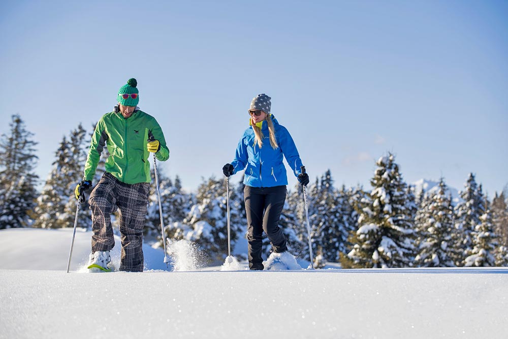 Appartement Birkenhof - Urlaub mit Pferden und Alpakas