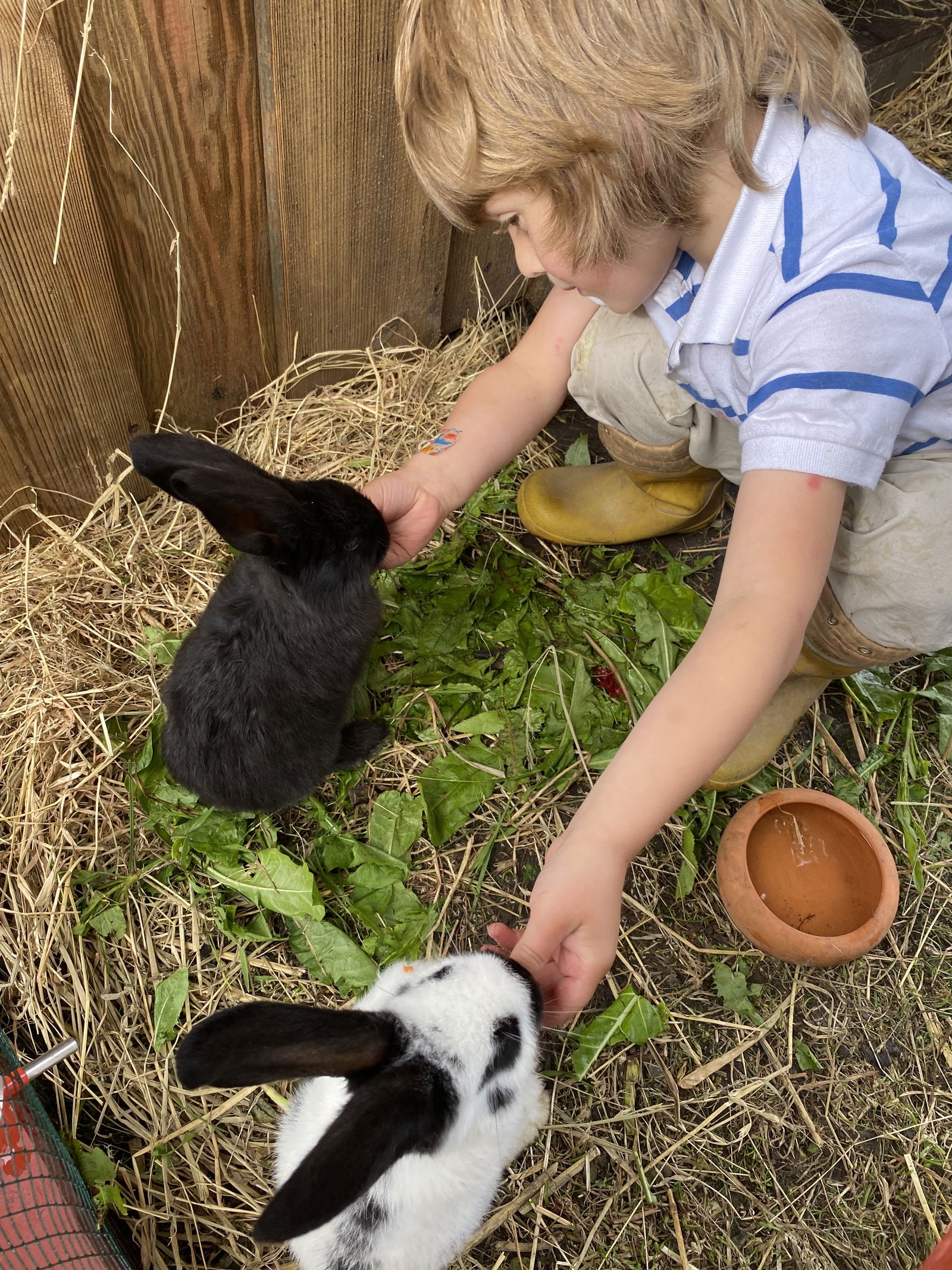 Osterhof Fehmarn - mit Hofladen, Hofprogramm und Ayurveda-Wellness