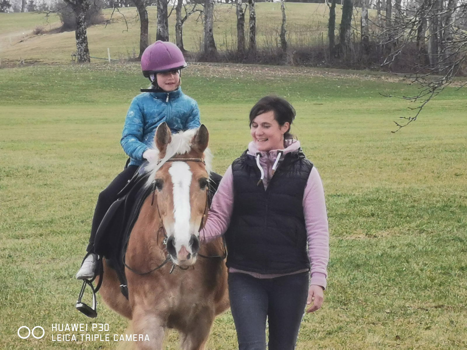 Ferienhof und Baumhaushotel Allgäu