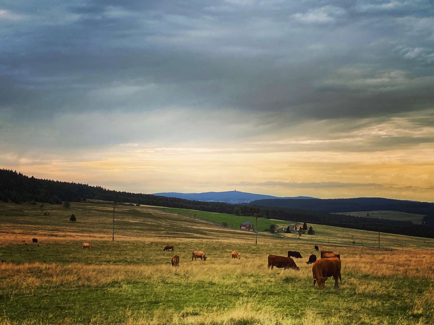 Alte Försterei Wildenthal in Eibenstock - Erzgebirge
