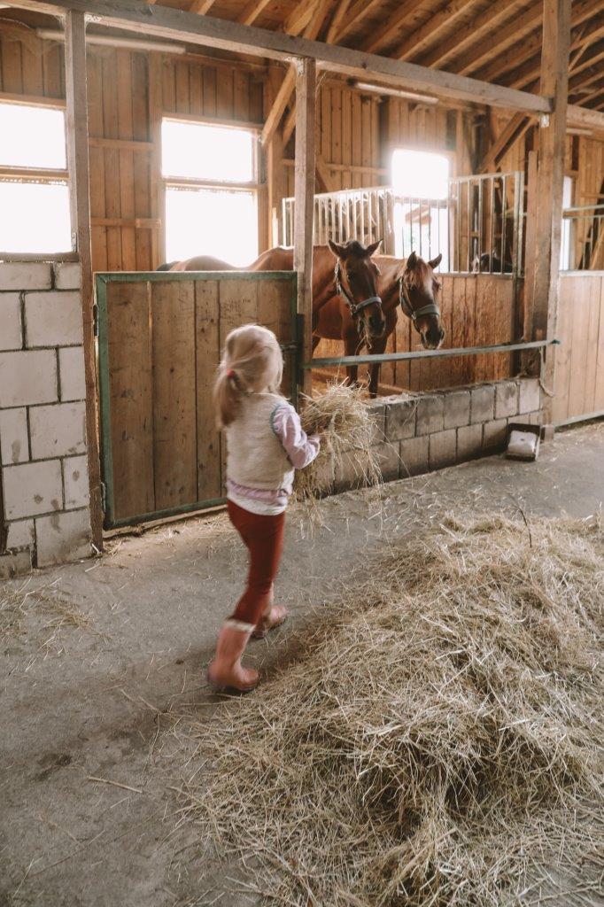 Birkenhof - Ferienhof, Landcafé & Rösterei