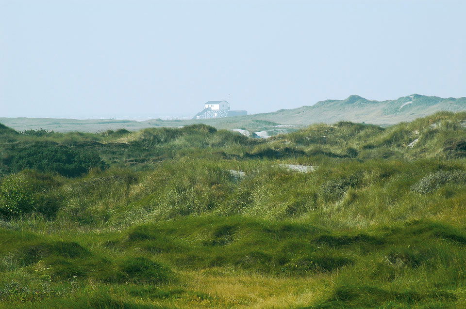 "Reet" Landhaus Hartwig bei St. Peter-Ordings Sandstrand