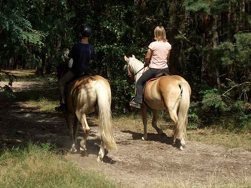 Pferde- und Freizeithof Koplin