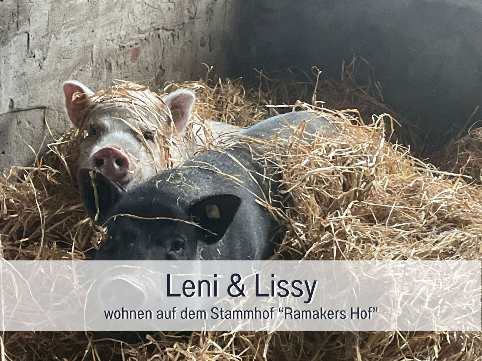 Meine Schule Sehlingen