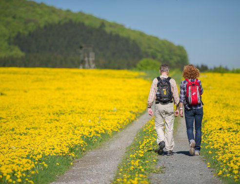 Tillmann Ferienhäuser