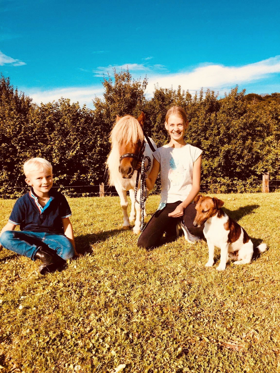 Soodehof  Eins - Ihr Kinder-Erlebnisbauernhof in Nordhessen