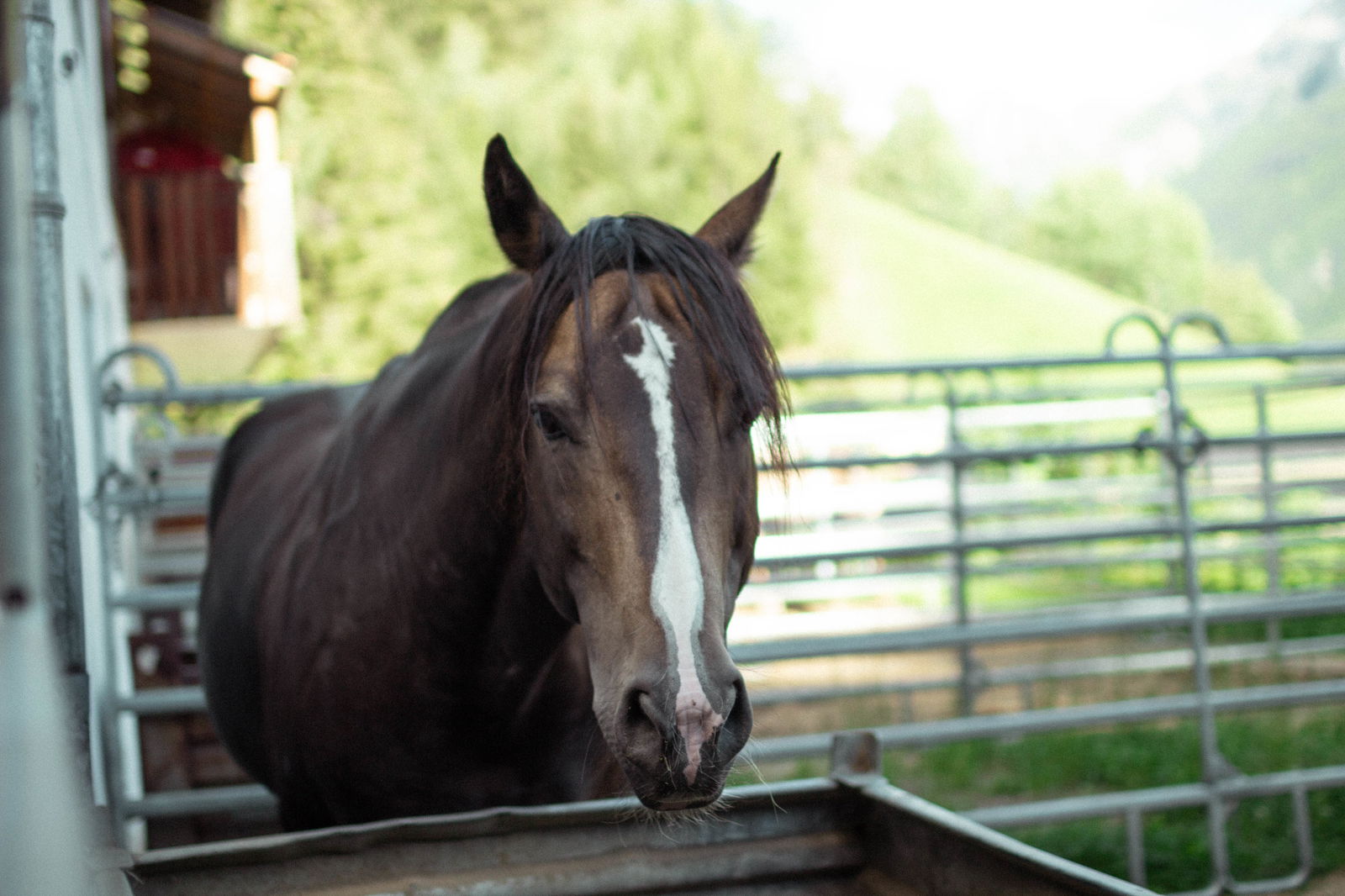 Jörgnerhof - Stelza Nature Chalet