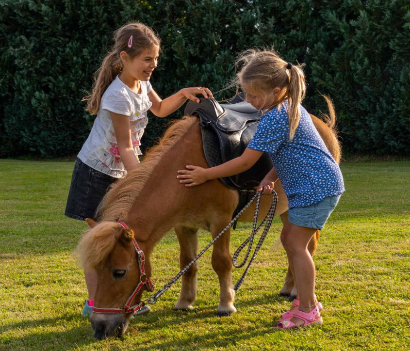 Ferienwohnungen Wagner