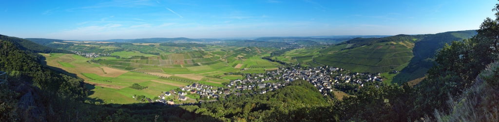 Weingut und Gästehaus Kruft-Willems